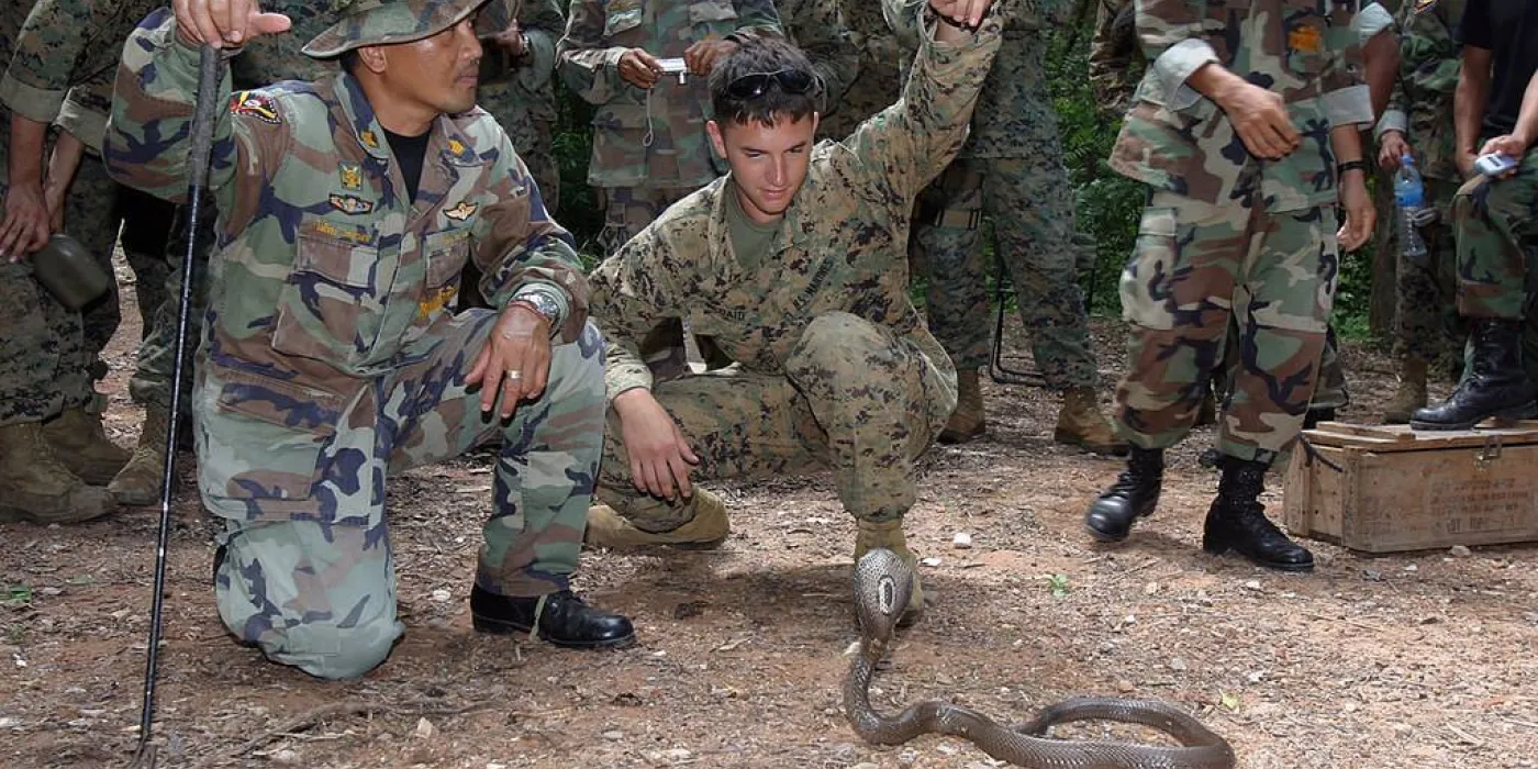 ภาพ: "Thailand: US Marines" by slagheap is licensed under CC BY-NC-SA 2.0
